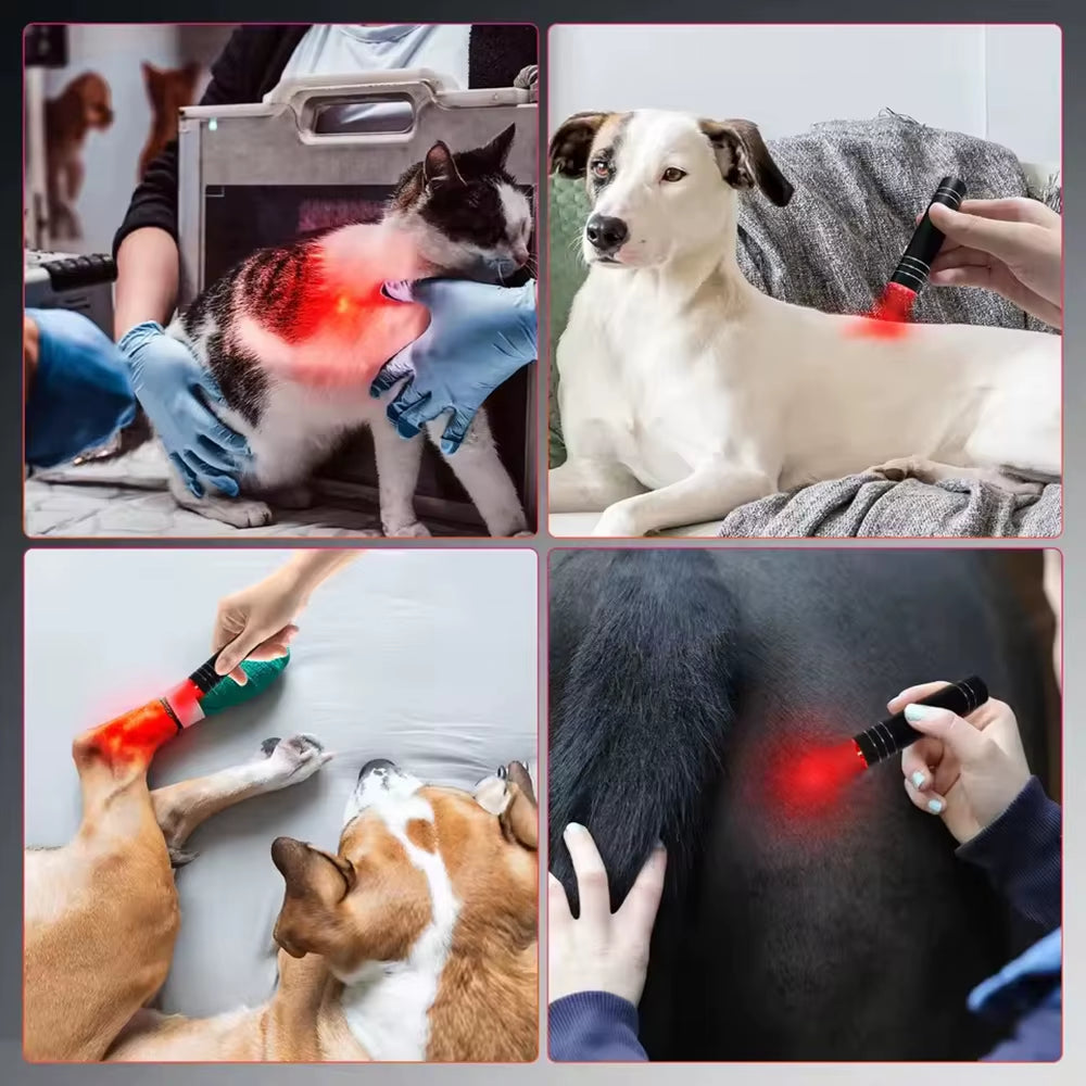 NEW Red Light Therapy Electric Torch Infrared Light Therapy Portable Lamp Pen Red Light Therapy Face Wand